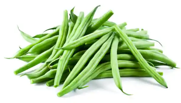 Habichuela